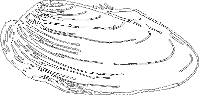 Пруд i_008.png