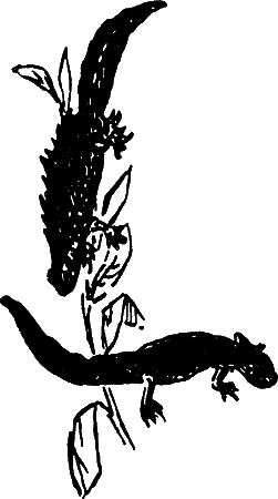 Пруд i_012.png