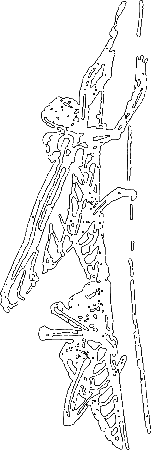 Пруд i_013.png