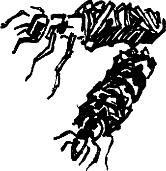 Пруд i_016.png