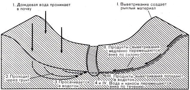 История Земли img_17.jpeg