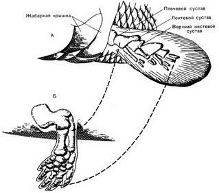 История Земли img_86.jpeg