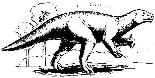 История Земли img_96.jpeg