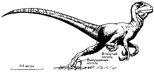 История Земли img_98.jpeg