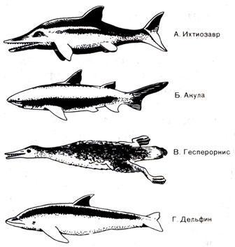 История Земли img_101.jpeg