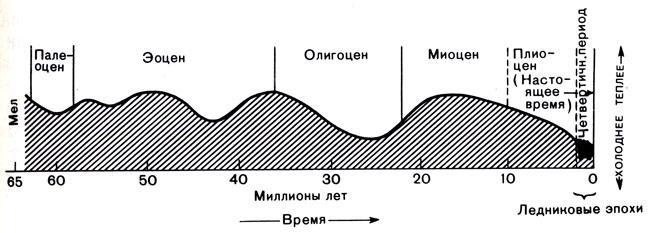 История Земли img_119.jpeg