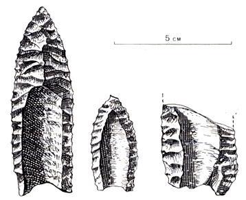 История Земли img_169.jpeg