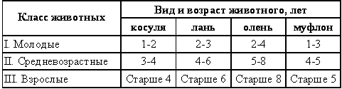 Охотничье-промысловые звери и трофеи i_007.png