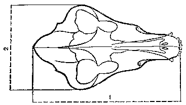 Охотничье-промысловые звери и трофеи i_014.png