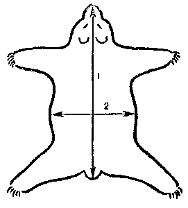 Охотничье-промысловые звери и трофеи i_020.png