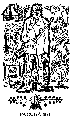 Белые птицы вдали (сборник) i_007.png