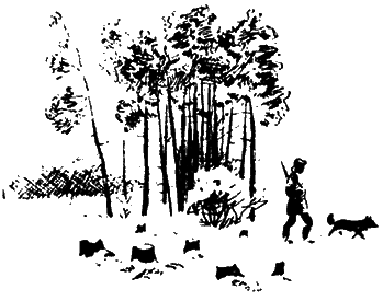 Лесничиха (сборник) i_003.png