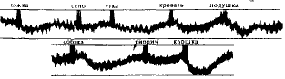 Язык и сознание i_013.png