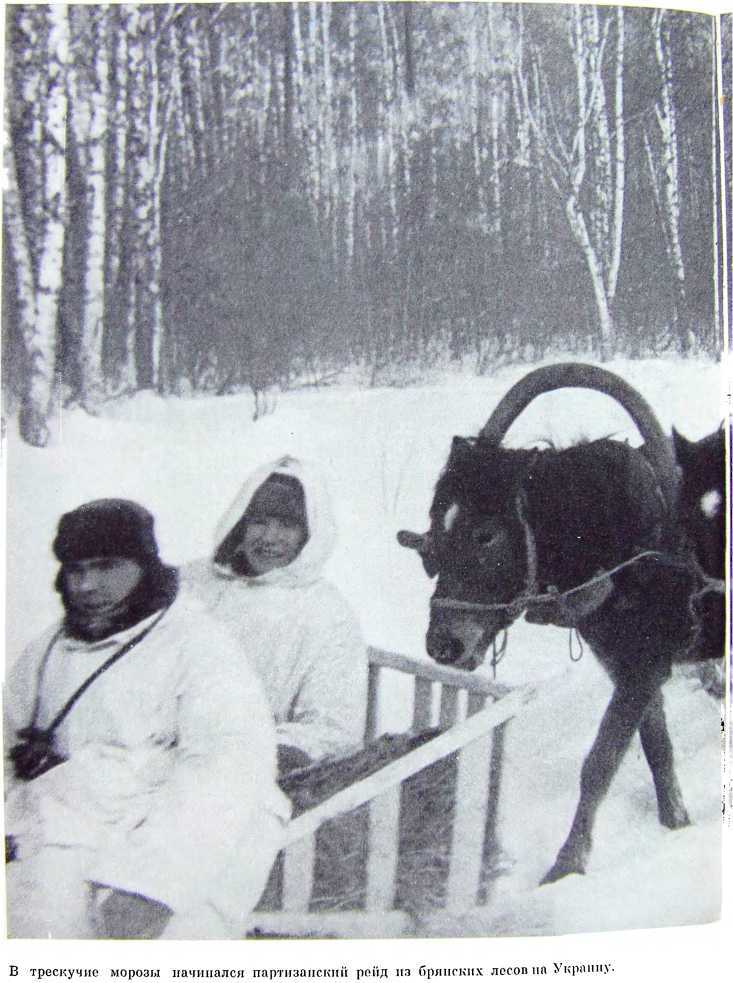 Орлята партизанских лесов i_005.jpg