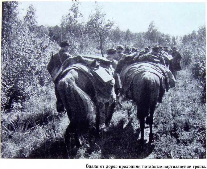 Орлята партизанских лесов i_038.jpg