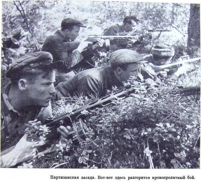 Орлята партизанских лесов i_042.jpg