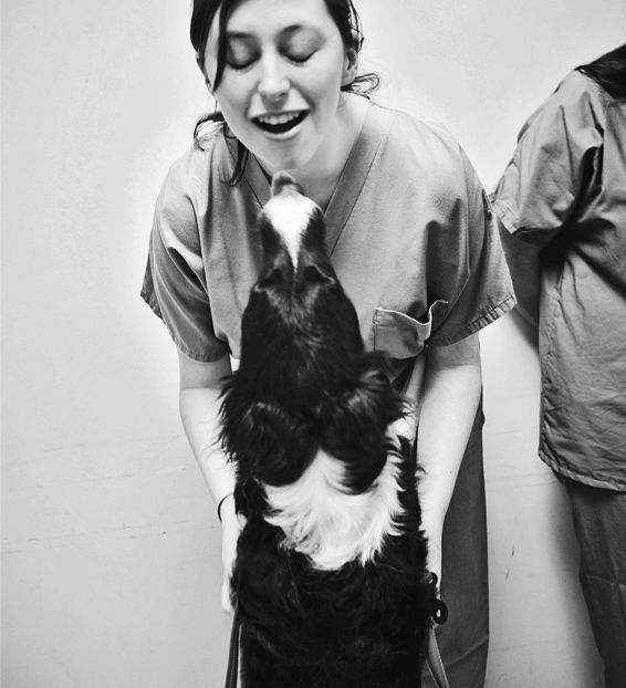How dogs love us. A Neuroscientist and His Adopted Dog Decode the Canine Brain _15.jpg