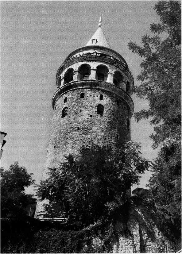 Том 2. Средневековые цивилизации Запада и Востока img_71.jpg