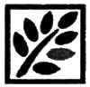 Тереза i_001.png