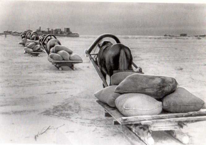 900 дней блокады. Ленинград 1941—1944 img_43.jpeg