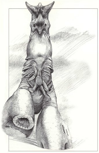 Экспедиция. Письменный и художественный отчёт о путешествии на Дарвин IV в 2358 году н. э img_64.jpg