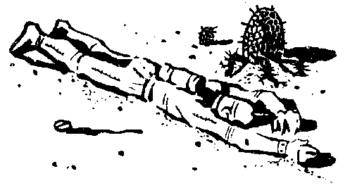 Лунная пыль. Рассказы pic_19.png
