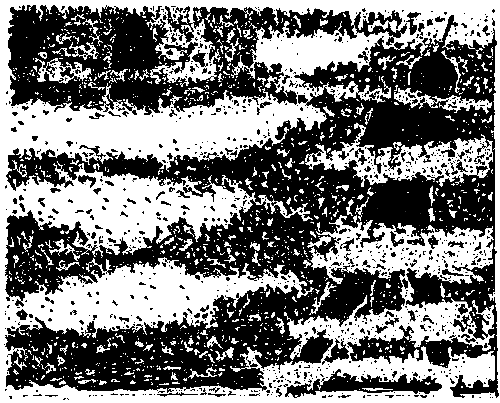 Лунная пыль. Рассказы pic_21.png