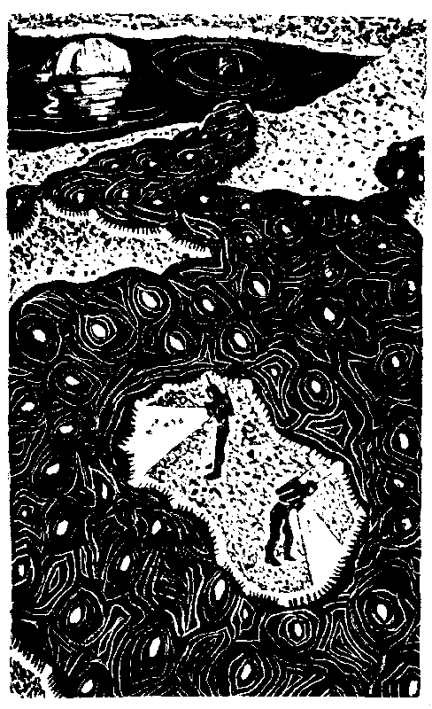 Лунная пыль. Рассказы pic_23.png