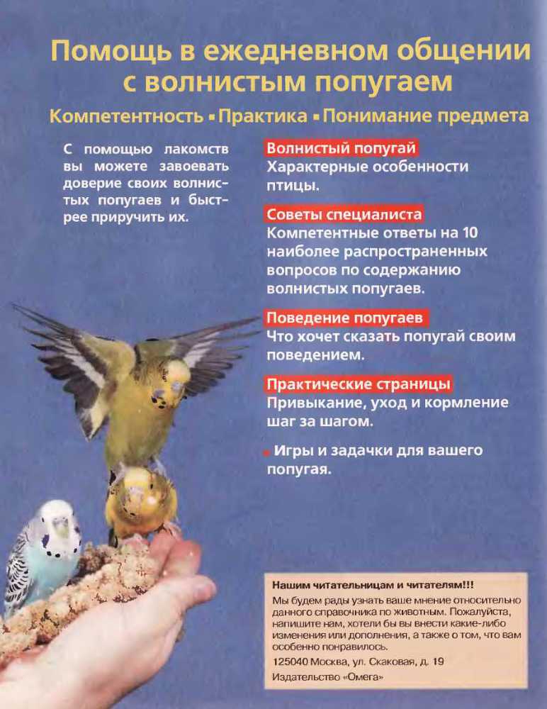 Волнистые попугаи image57.jpg