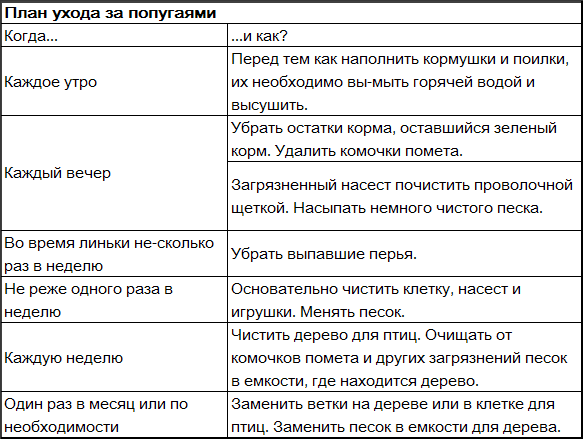 Волнистые попугаи _3.png