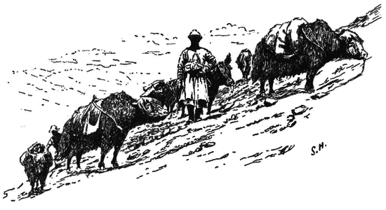 В сердце Азии. Памир — Тибет — Восточный Туркестан. Путешествие в 1893–1897 годах i_002.png