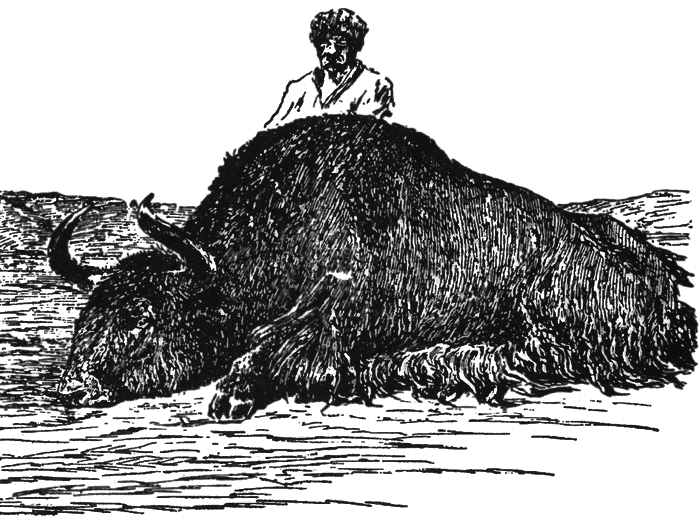 В сердце Азии. Памир — Тибет — Восточный Туркестан. Путешествие в 1893–1897 годах i_068.png
