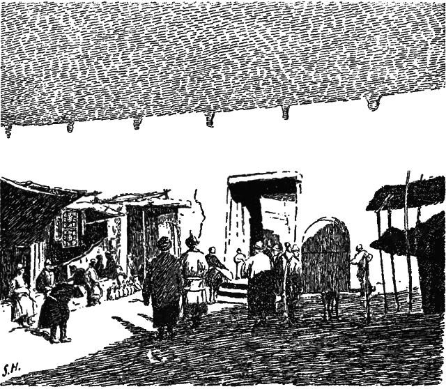 В сердце Азии. Памир — Тибет — Восточный Туркестан. Путешествие в 1893–1897 годах i_011.png