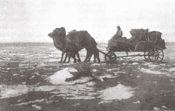 В сердце Азии. Памир — Тибет — Восточный Туркестан. Путешествие в 1893–1897 годах i_006.jpg