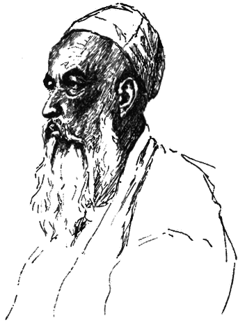 В сердце Азии. Памир — Тибет — Восточный Туркестан. Путешествие в 1893–1897 годах i_037.png