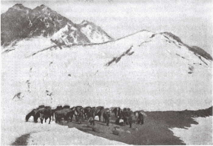 В сердце Азии. Памир — Тибет — Восточный Туркестан. Путешествие в 1893–1897 годах i_007.jpg