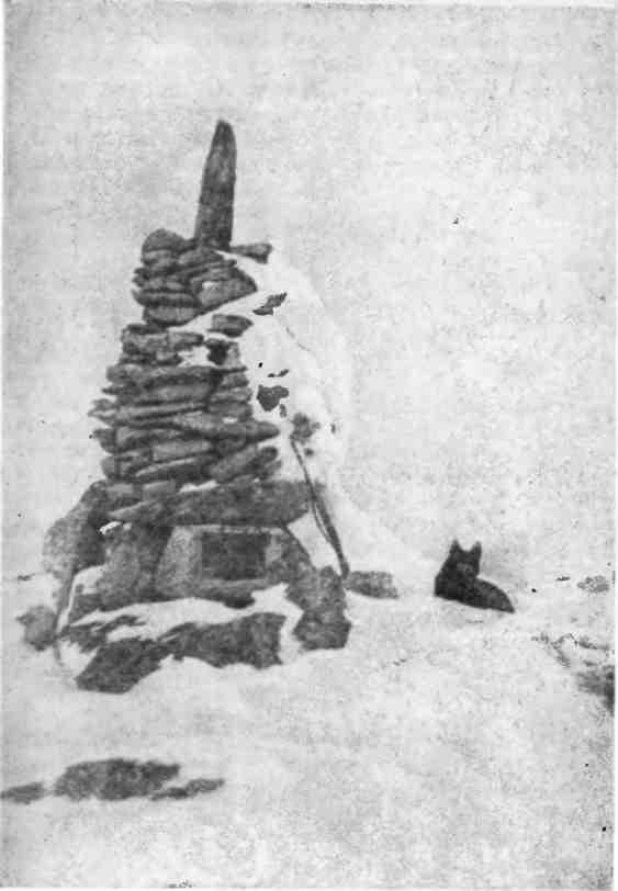 Зимовка на «Торосе» img_15.jpeg