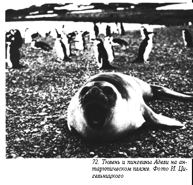 Вопросы о погоде pic_91.png