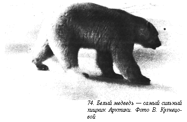 Вопросы о погоде pic_93.png