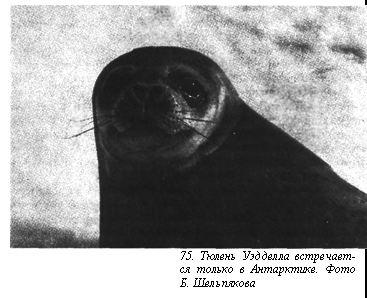 Вопросы о погоде pic_94.png