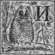 Зеленая книга леса i_017.png