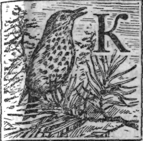 Зеленая книга леса i_008.png