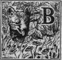 Зеленая книга леса i_010.png