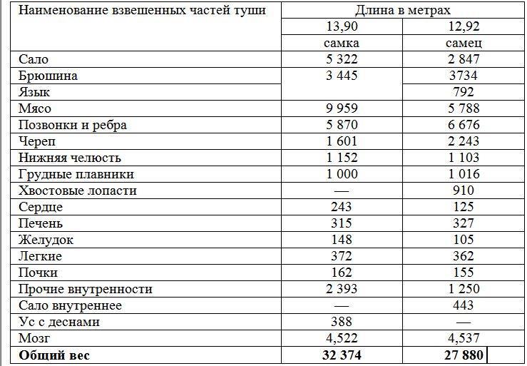 Вокруг света за китами _92.jpg