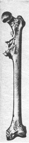Заселение Земли человеком (с илл.) pic.0074.jpg