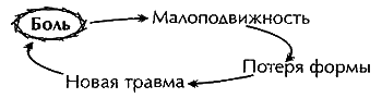 Здоровье спины и позвоночника. Энциклопедия i_027.png