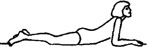 Здоровье спины и позвоночника. Энциклопедия i_049.png