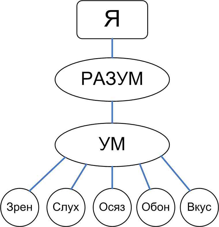 Анатомия ложного эго _8.jpg