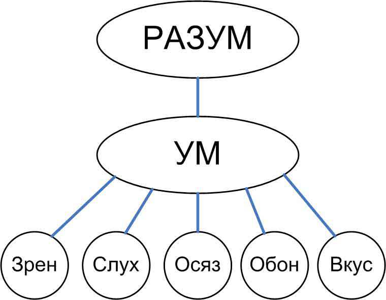 Анатомия ложного эго _3.jpg