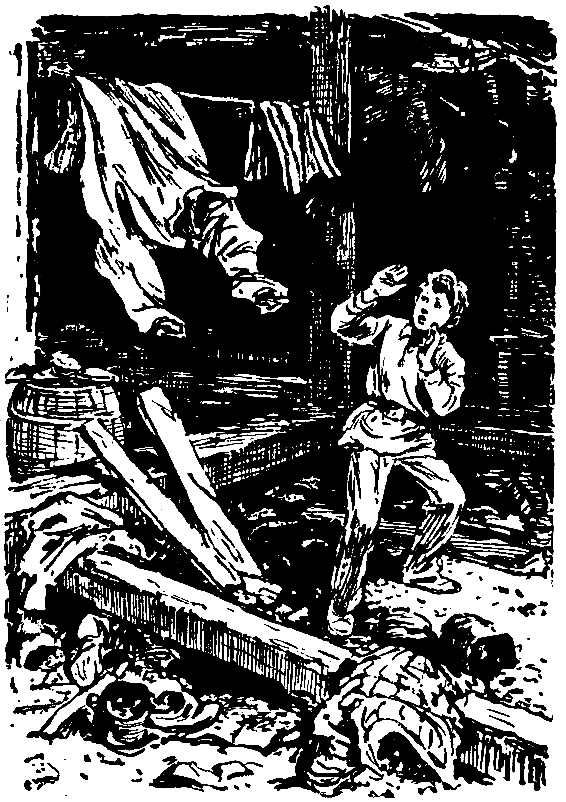 Необычайные похождения Севы Котлова. Повести pic_15.png